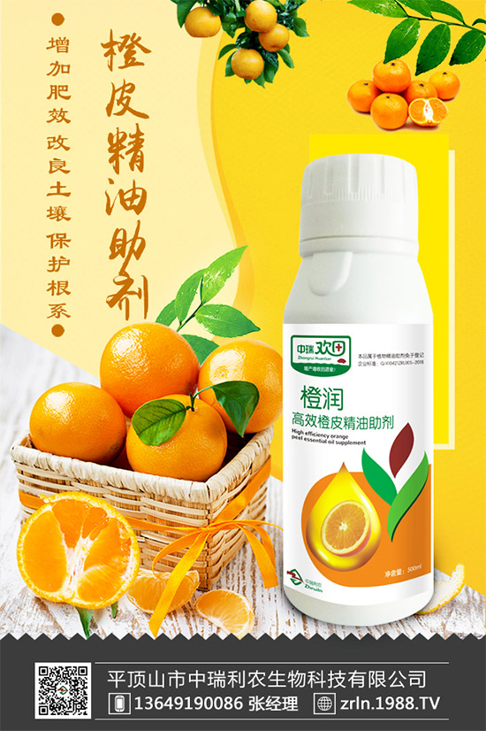 ����������(j��)���������r(n��ng)�ٺ����r(n��ng)�����̾W(w��ng)�������W(w��ng)�j(lu��)����·��