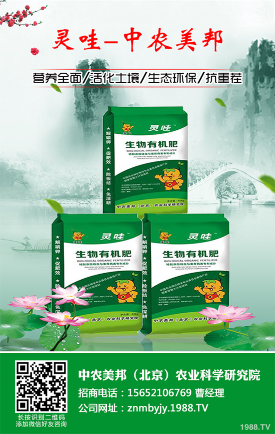 ���᳣Ҋ(ji��n)��������Щ��ԓ����A(y��)�������Ს���İl(f��)���c���Σ�