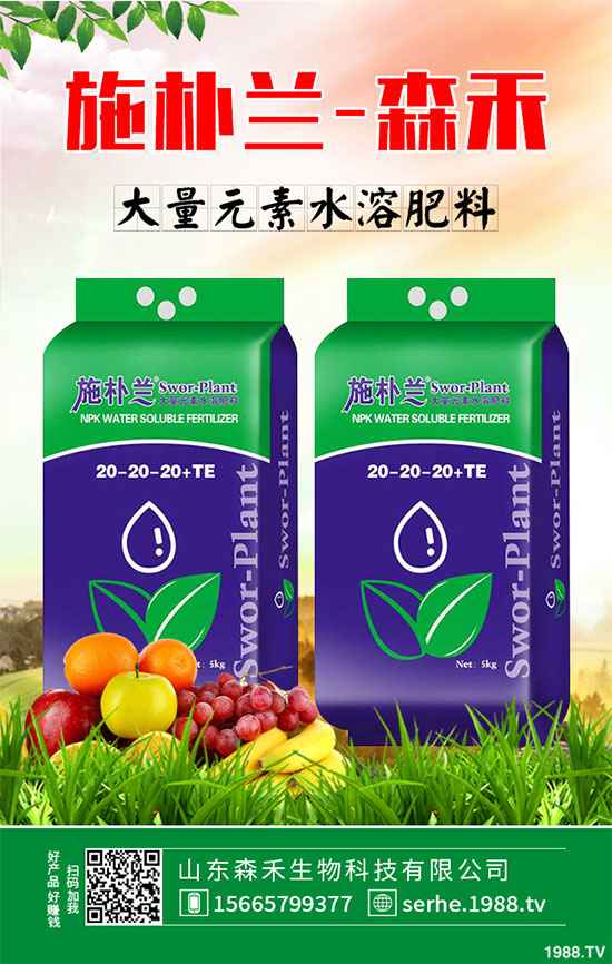 �R���r(ji��)�񲻔��������ܷ��^�m(x��)��(ji��n)ͦ��2020���R����Nֲǰ������