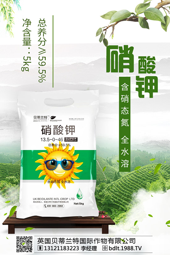 番茄空心果是怎么回事？如何做可以避免番茄空心？