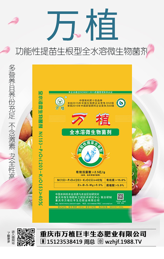     ��(zh��n)�Ժ������������fֲ���S�y��1988.TV�ل�(chu��ng)�x����