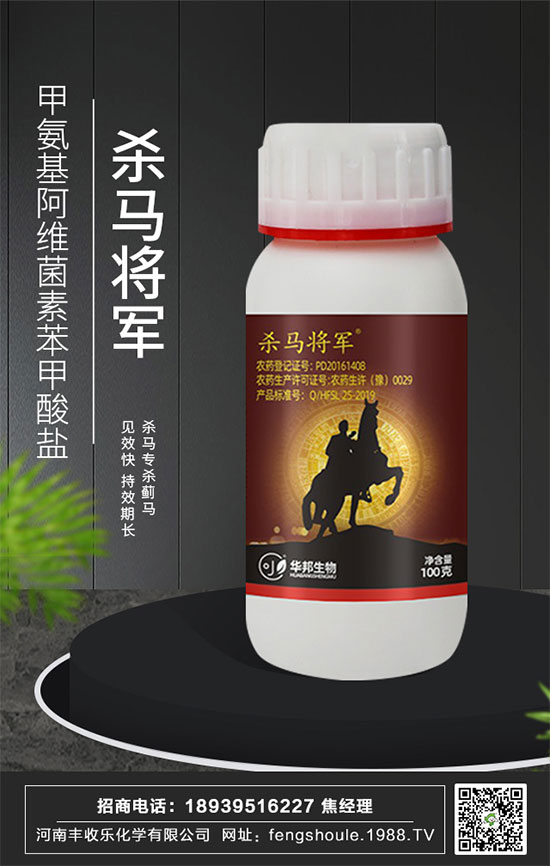 �������\�l(f��)չ�������S�՘�(l��)�ٺ�1988.TV�_(k��i)��(chu��ng)���x����