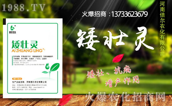 ���ϱ����m(x��)�s1988.TV���y�ֹ���(chu��ng)���x����