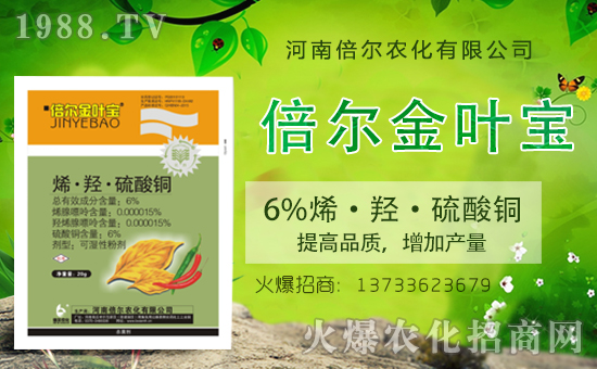 ���ϱ����m(x��)�s1988.TV���y�ֹ���(chu��ng)���x����