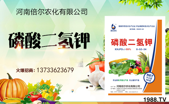 ���ϱ����m(x��)�s1988.TV���y�ֹ���(chu��ng)���x����