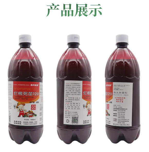 QQ�DƬ20200610184059_03