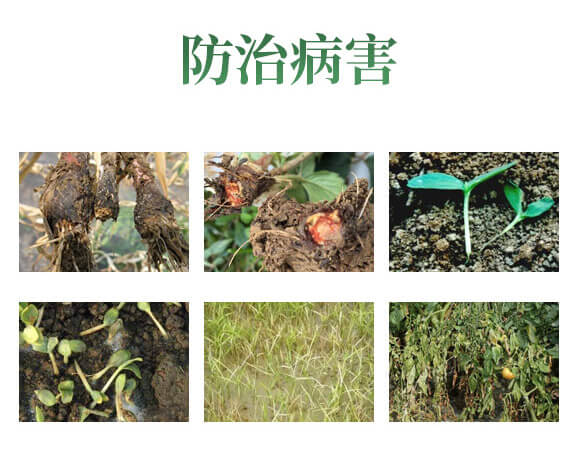 QQ�DƬ20200610184059_04