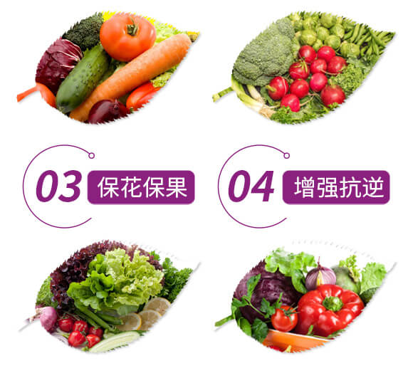 硫酸鉀型復(fù)合肥料12-8-28-金四元膨果肥-中農(nóng)化_05