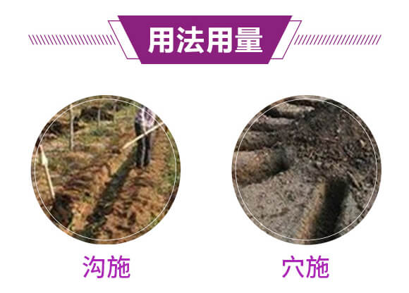 硫酸鉀型復(fù)合肥料12-8-28-金四元膨果肥-中農(nóng)化_08