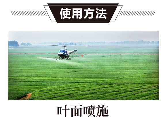 ̼?x��)�˷?�G���T-̼?x��)���H_02