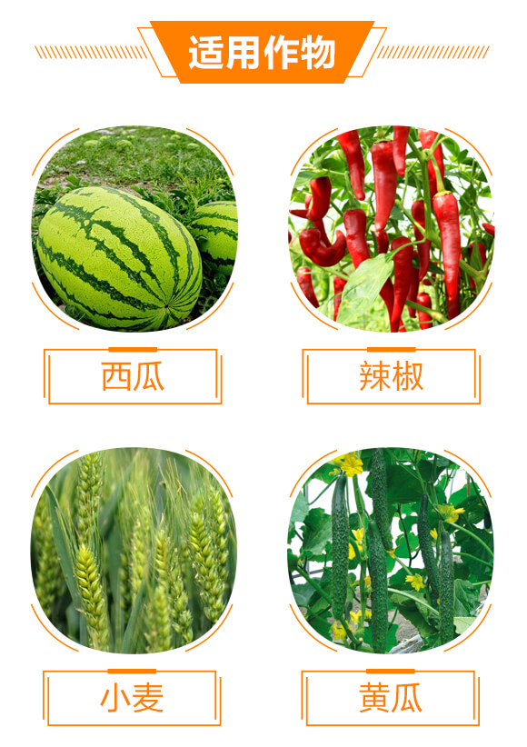 30%���ס��׾���-�P��-���r(n��ng)����_04