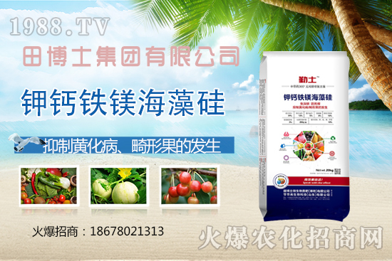 花生重茬會產生哪些影響？如何解決花生重茬問題？