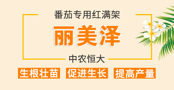 番茄專用紅滿架-麗美澤-中農(nóng)恒大