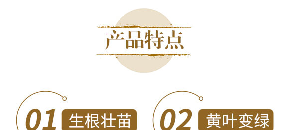 ��ˎ�����߮�(d��ng)�w����-����ֲ��ˮ�ܷ�-�����r(n��ng)��_05