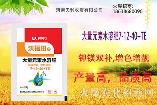 ��피t��ô�B(y��ng)����피t���B(y��ng)ֳ������ע�����(xi��ng)��