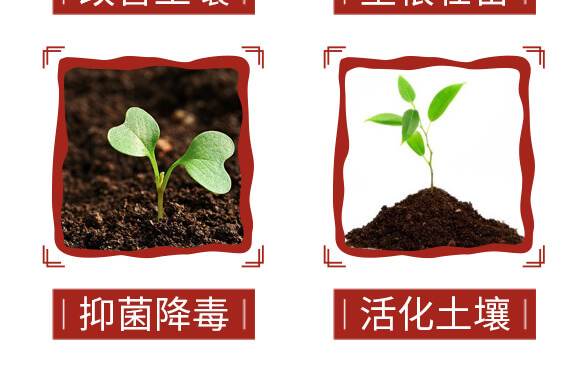 稀土微生物菌劑-肥密碼-貝德樂(lè)_07