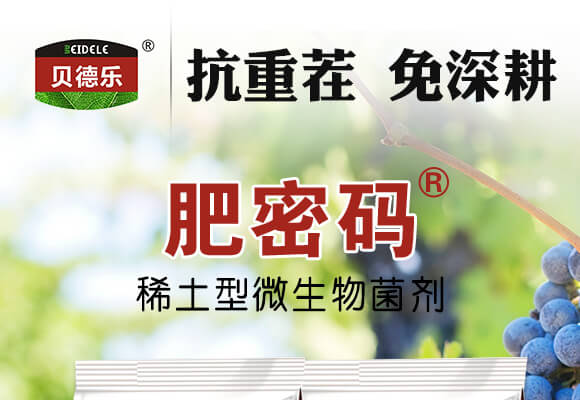 稀土微生物菌劑-肥密碼-貝德樂(lè)_01