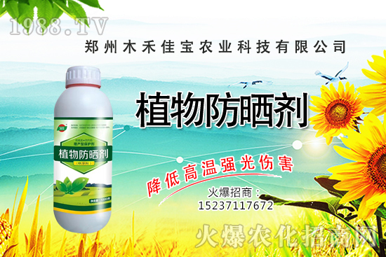 ѿ��˷Nֲǰ����ô����ѿ��˷Nֲ���g(sh��)����Щ��