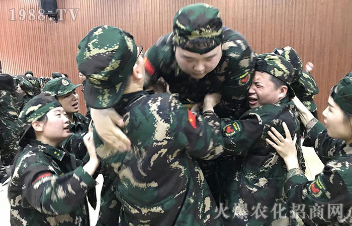 ���ĸ�����Ӗ�����_�����t������