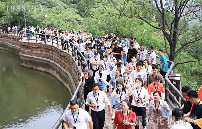 �۟��Fꠣ������h����