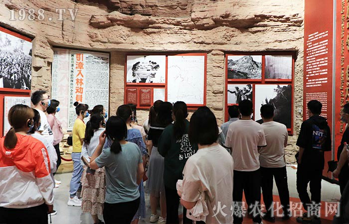 ��P(y��ng)�t�����ľ��񡪡������������D���^��