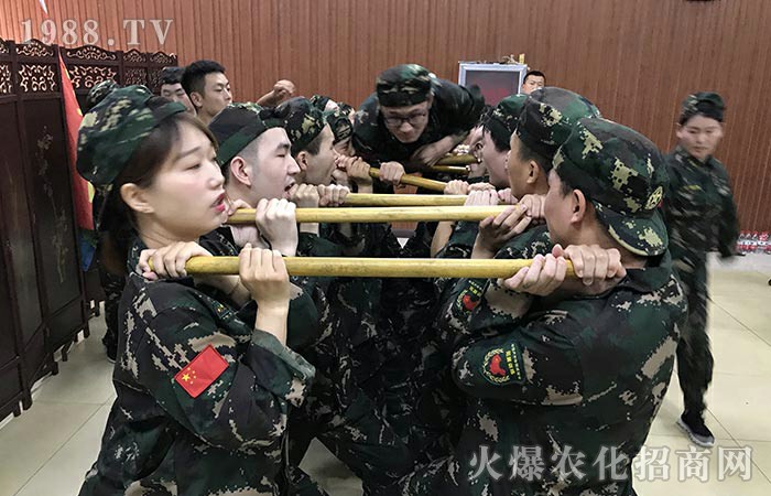 2020���繝(ji��)��Ӗ�߼t����֮�ø��� 