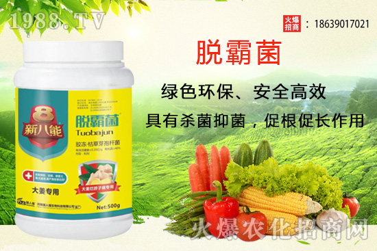 �����Nֲ�xʲôƷ�N�������Nֲǰ��������Ʒ�N���]��