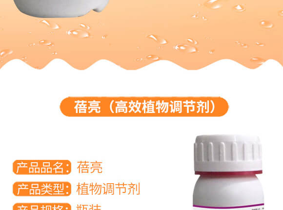 �����v�S�r�I(y��)�Ƽ����޹�˾_02