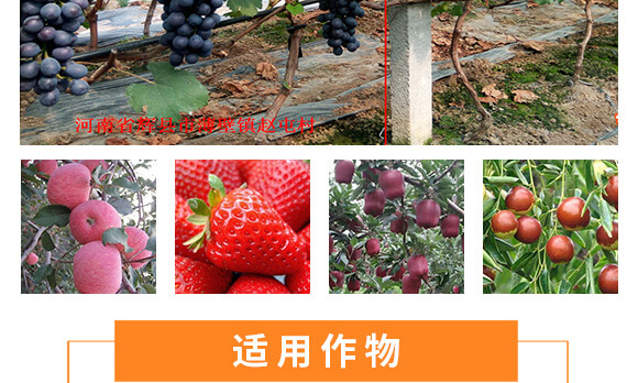 �����v�S�r�I(y��)�Ƽ����޹�˾_11