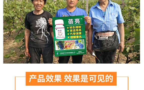 �����v�S�r�I(y��)�Ƽ����޹�˾_08