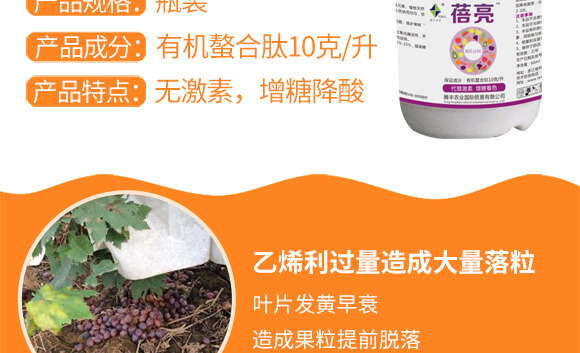 �����v�S�r�I(y��)�Ƽ����޹�˾_03