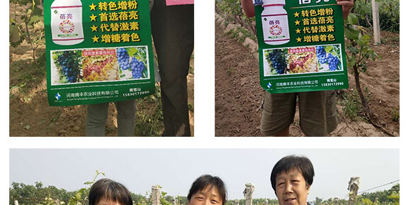 �����v�S�r�I(y��)�Ƽ����޹�˾_07