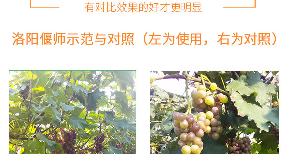 �����v�S�r�I(y��)�Ƽ����޹�˾_09