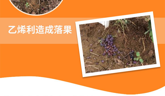 �����v�S�r�I(y��)�Ƽ����޹�˾_04