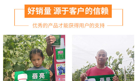 �����v�S�r�I(y��)�Ƽ����޹�˾_06