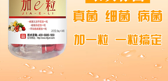 �r(n��ng)��ڈ@���＼�g(sh��)���޹�˾1_02