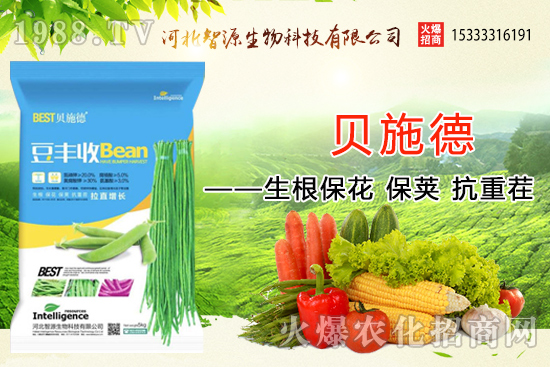 �ӱ���Դ�ٶȔy��1988.TV���y�ֹ���(chu��ng)��(zh��n)����