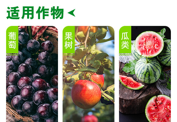 ���u��������Ƽ����޹�˾�a(ch��n)ƷԔ���(y��)2_04