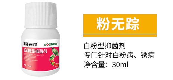 �׷����־���-�۟oۙ-�T�__05