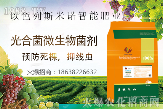 根結線蟲危害大，太難防？“菌微特”來幫忙！抑制線蟲和蟲卵，干凈！