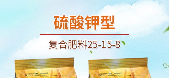 ������͏�(f��)�Ϸ���25-14-6-���(y��ng)_01