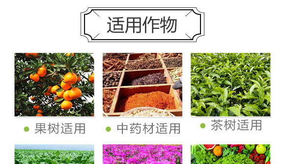 細胞分裂素-國豐健園_08