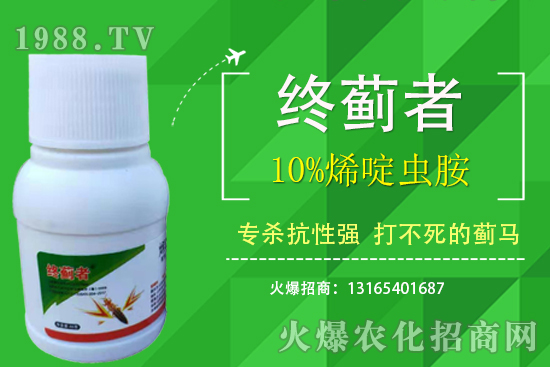 10%烯啶蟲胺能打薊馬嗎？有什么特點(diǎn)？10%烯啶蟲胺使用注意事項(xiàng)！