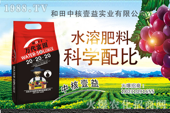 四季海棠多久澆一次水？四季海棠澆水過多怎么挽救？