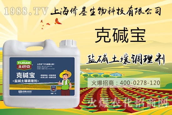 �����}�AΣ���������ˉA���������}�A��߀��һƬ������