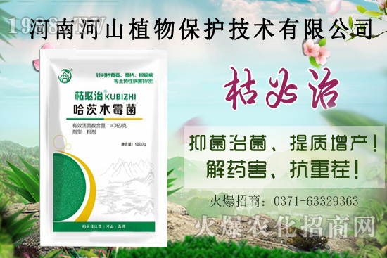 河南河山植物海報(bào)