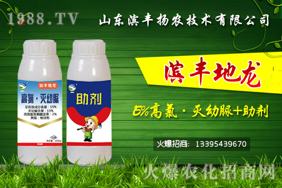 黑頭蛆、地蛆、根蛆如何有效防治？“15%高氯·滅幼脲+助劑”殺蛆雙保險(xiǎn)！	