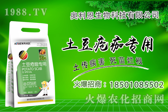 土豆瘡痂病什么癥狀？為什么難防治？土豆瘡痂病防治措施！