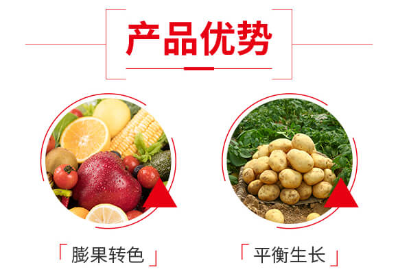 純營(yíng)養(yǎng)多肽膨果轉(zhuǎn)色-色冠1號(hào)-凱瑞斯_04