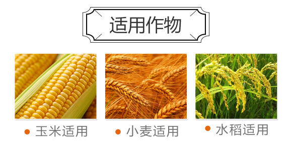 ���ˮ�|�����ȩ��ጏ�(f��)�Ϸ�26-10-12-Ψ��-�Ź��r(n��ng)�I(y��)_04